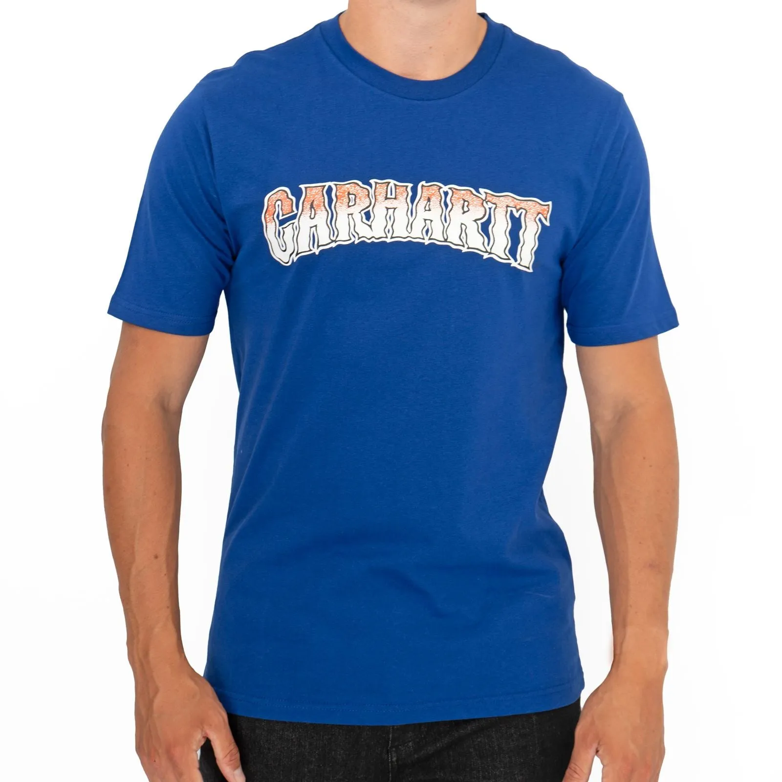 Carhartt WIP Mens Slow Script Blue Cotton T-shirt