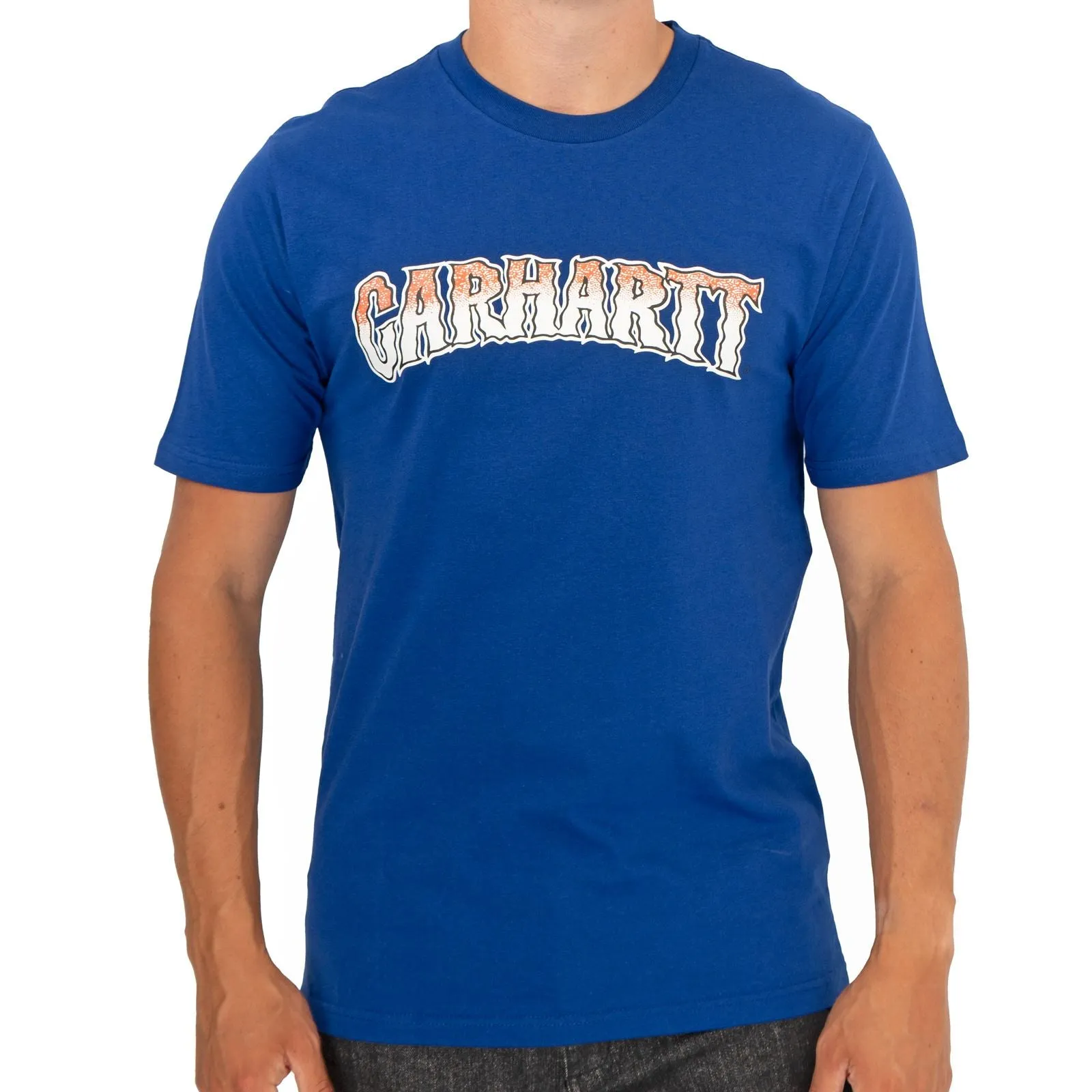 Carhartt WIP Mens Slow Script Blue Cotton T-shirt