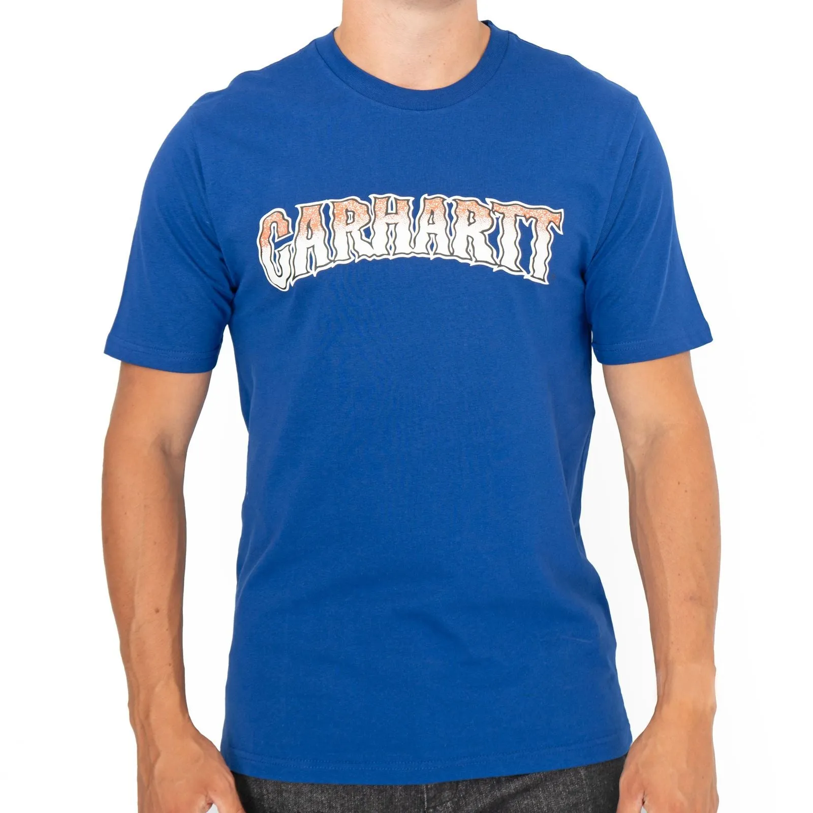 Carhartt WIP Mens Slow Script Blue Cotton T-shirt