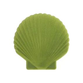 Doiy: Shell Jewelry Box Light Green