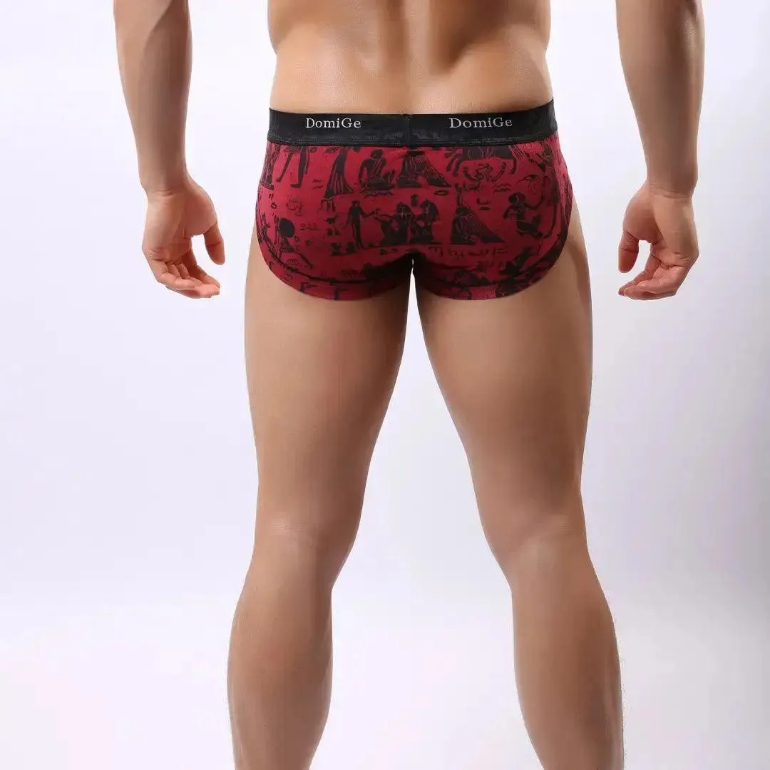 DomiGe Men's Bamber Trunks Briefs Moisture Management Underwear