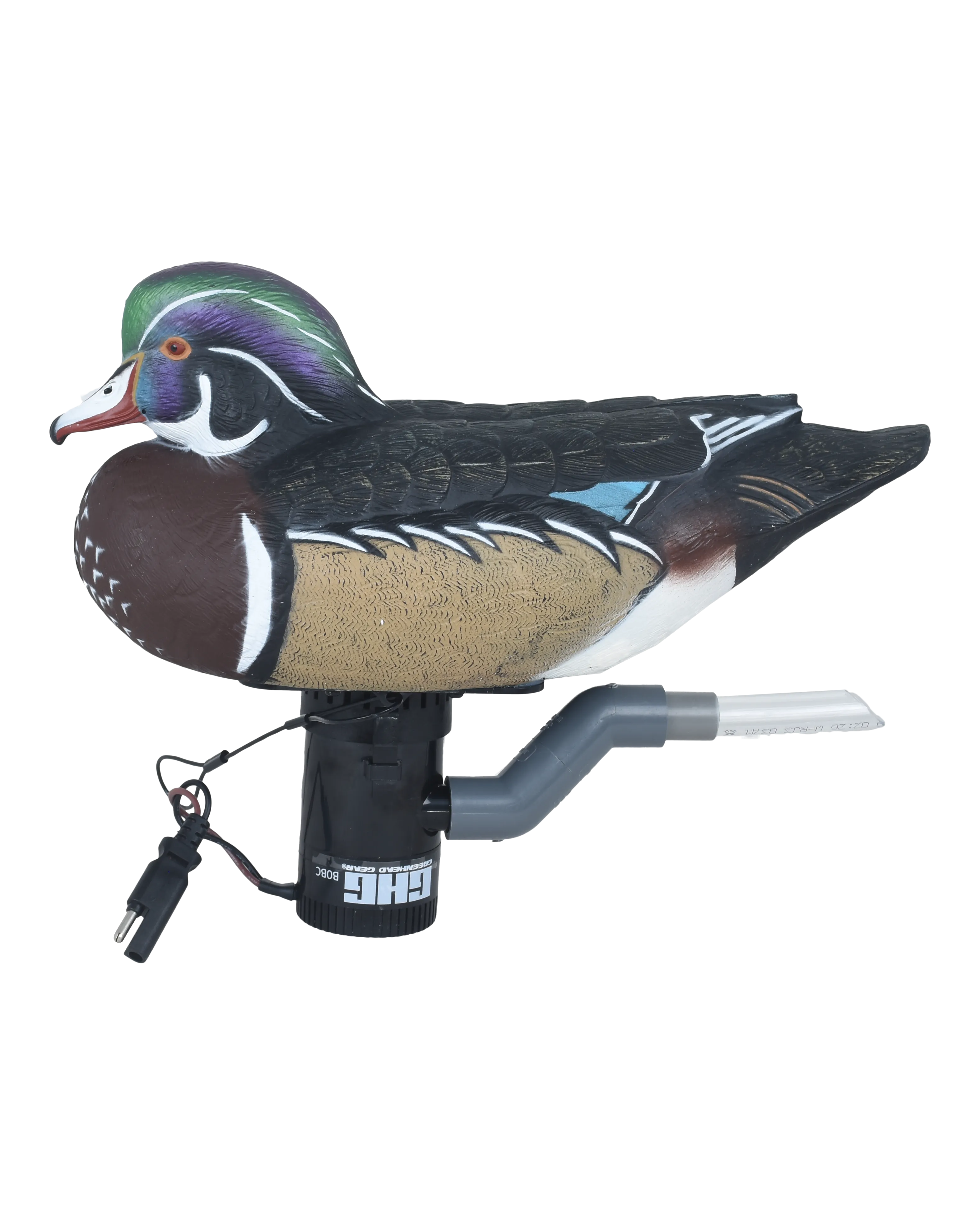 Finisher Swimmer Wood Duck Drake
