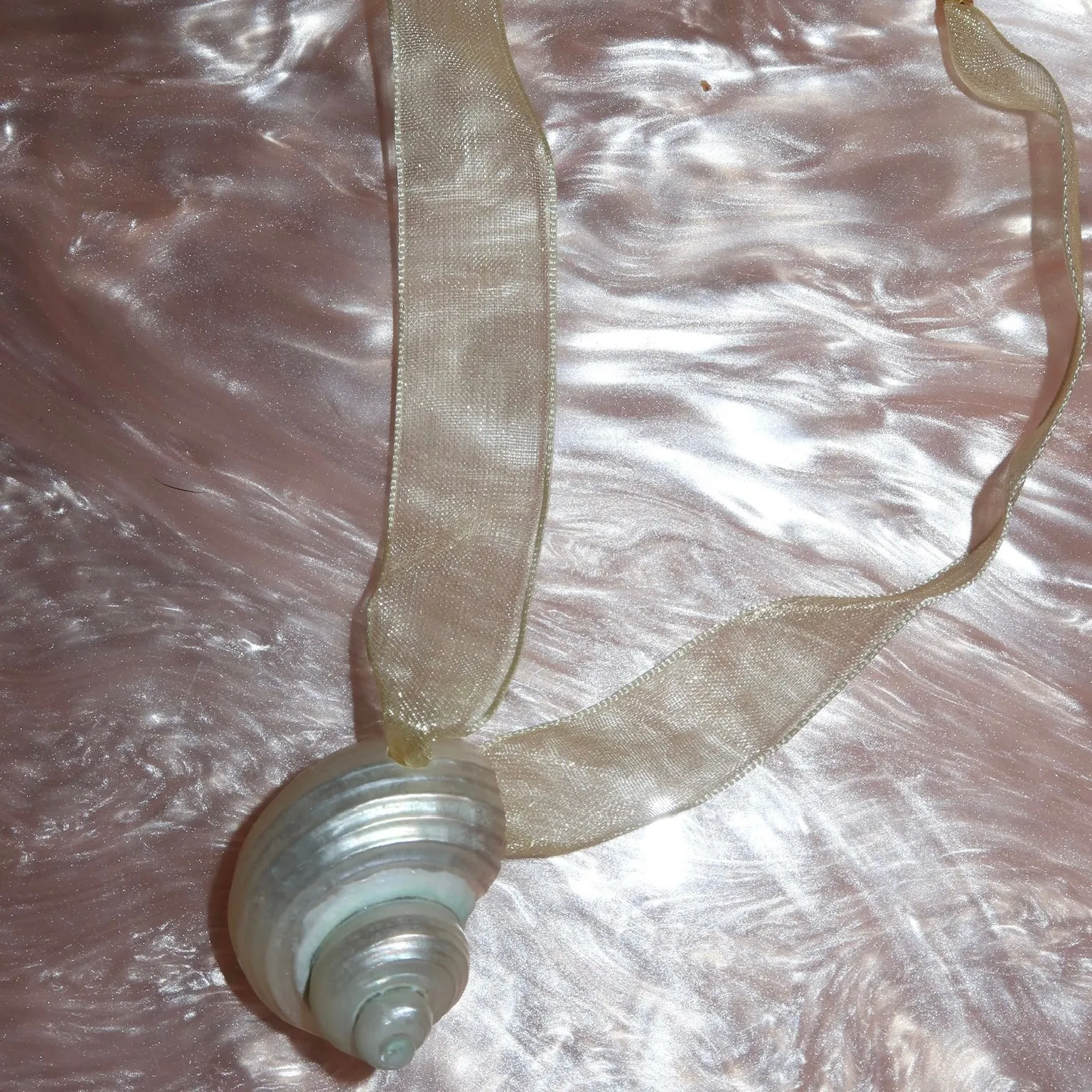 Galapagos Choker in Coconut