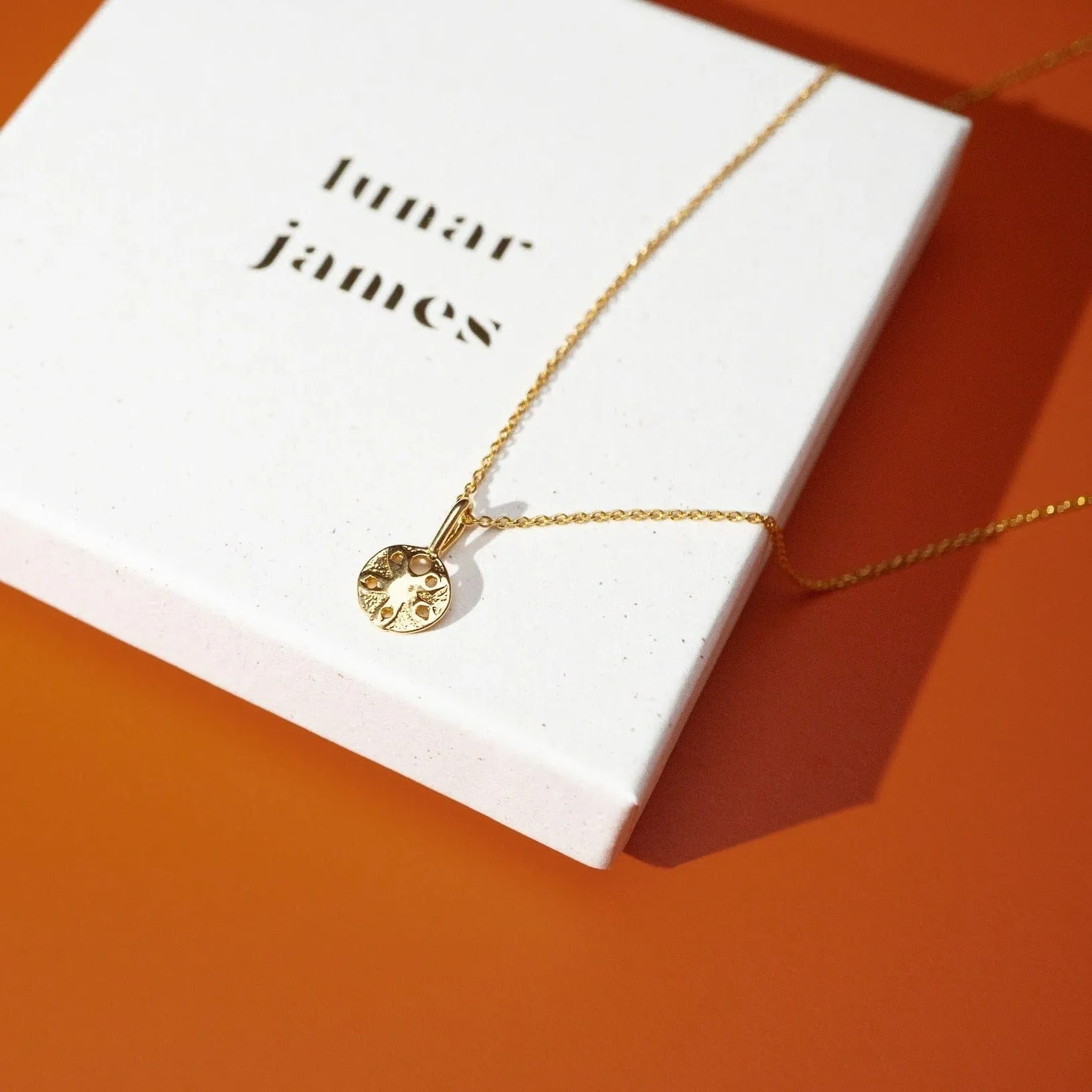 Gold or Silver Sand Dollar Shell Necklace | By Lunar James