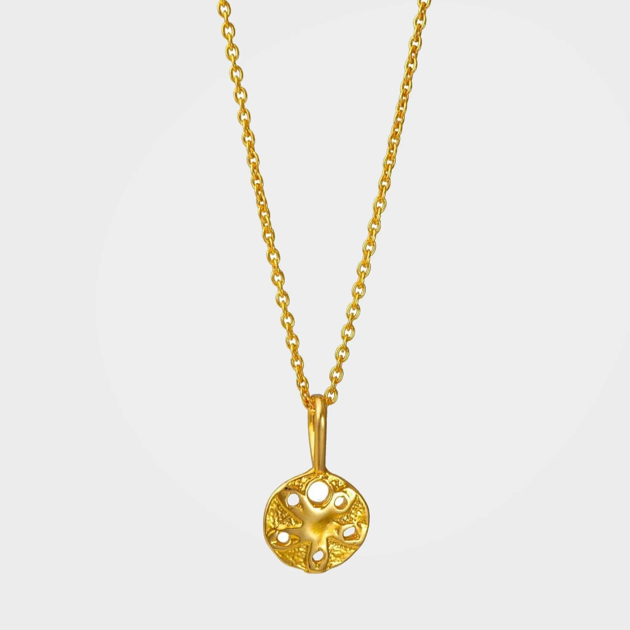 Gold or Silver Sand Dollar Shell Necklace | By Lunar James