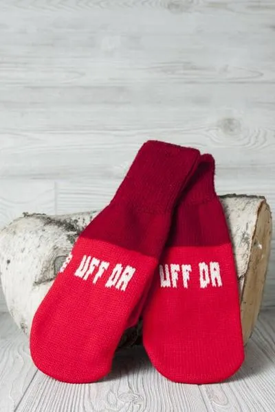 Knits- Minnesota Phrase Mittens