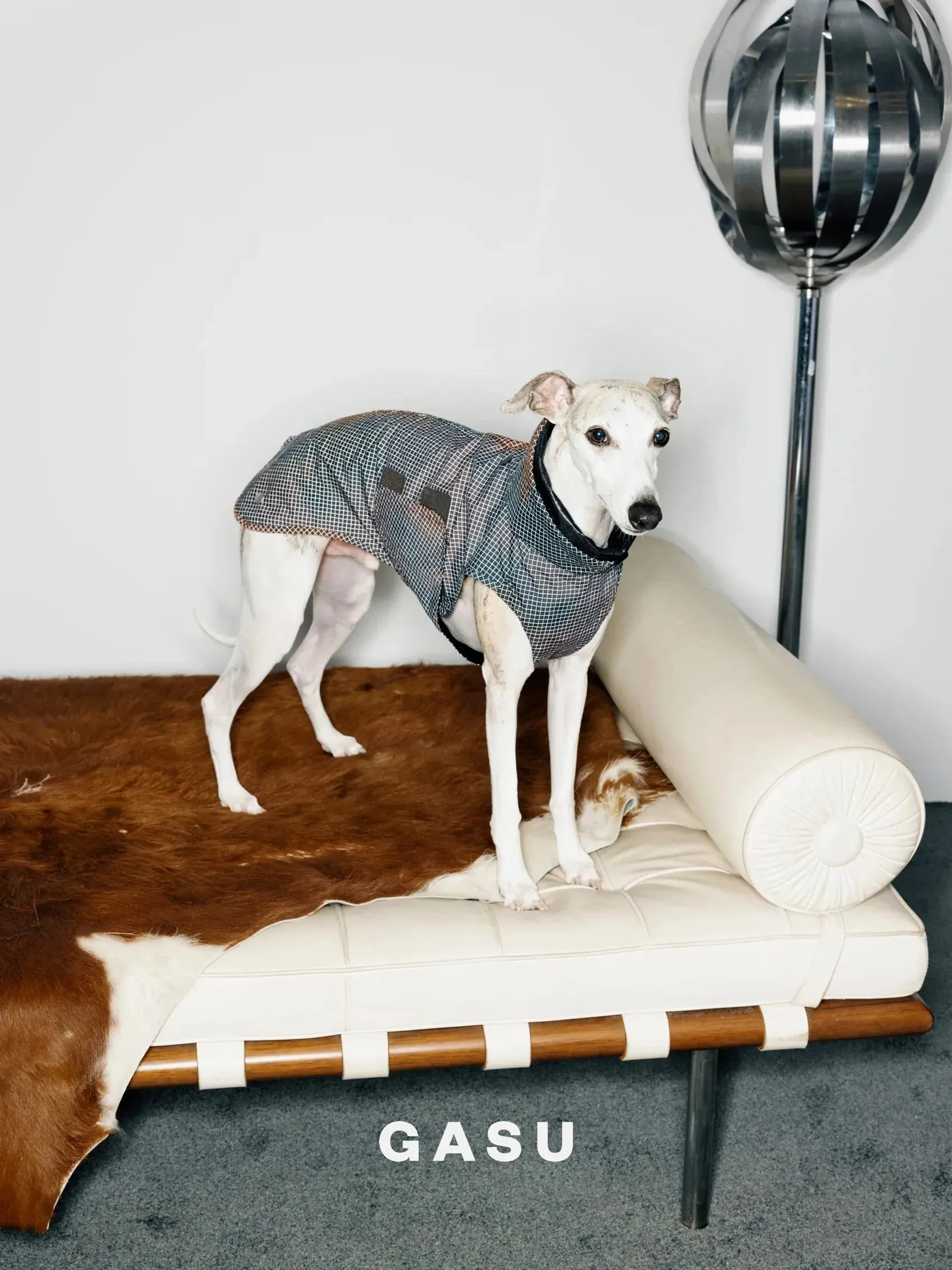 Reflective Lightweight Dog Raincoat Vest