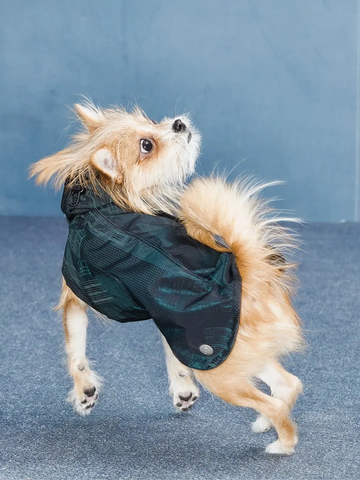 Reflective Lightweight Dog Raincoat Vest
