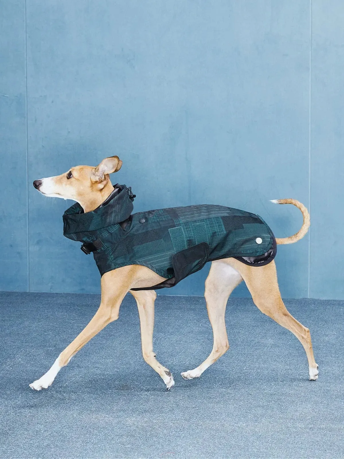 Reflective Lightweight Dog Raincoat Vest