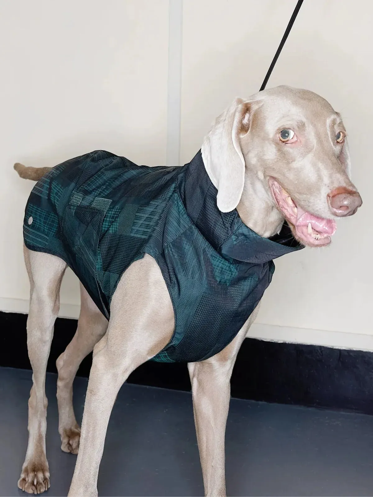 Reflective Lightweight Dog Raincoat Vest