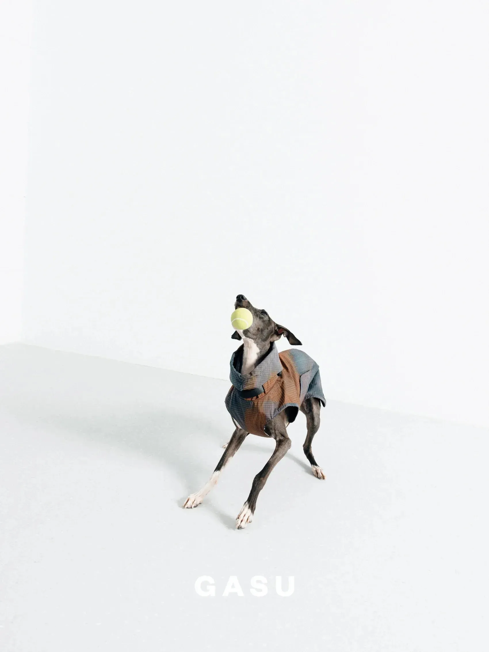 Reflective Lightweight Dog Raincoat Vest