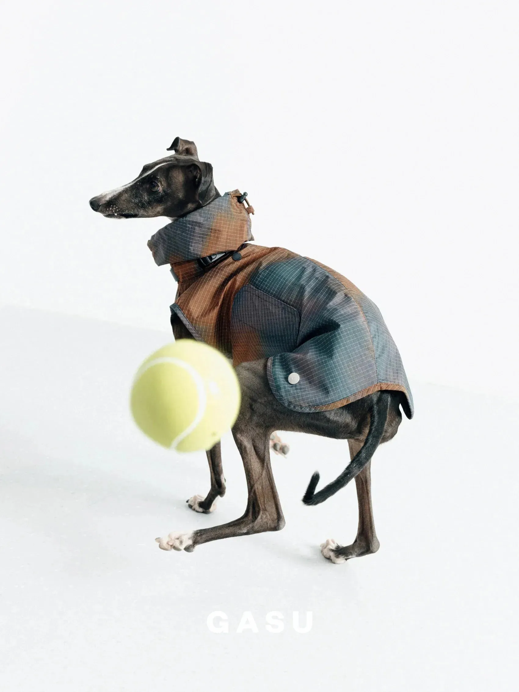 Reflective Lightweight Dog Raincoat Vest