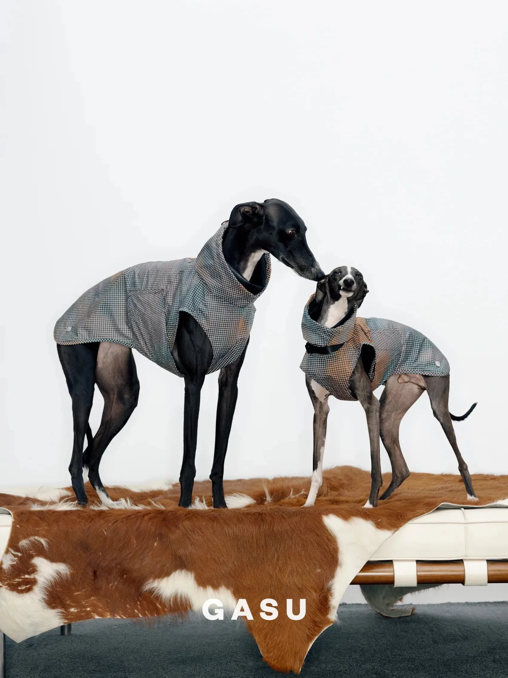 Reflective Lightweight Dog Raincoat Vest