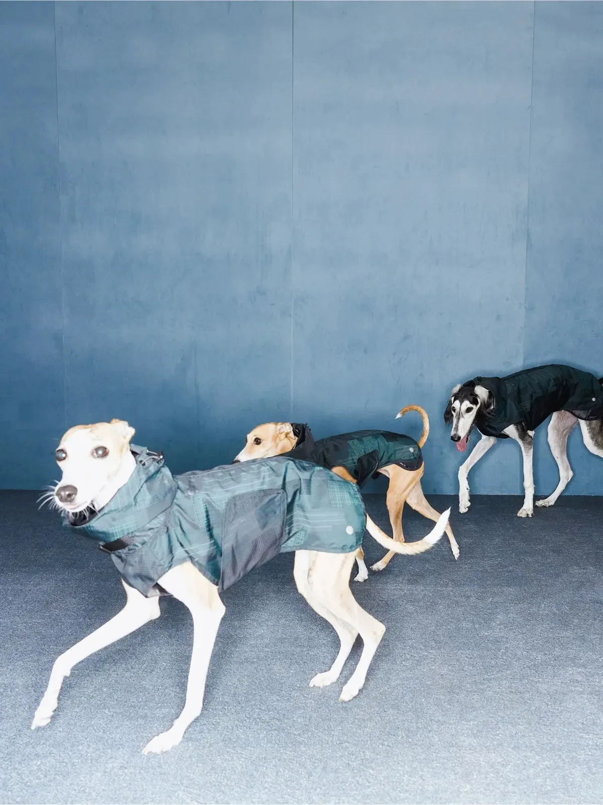Reflective Lightweight Dog Raincoat Vest