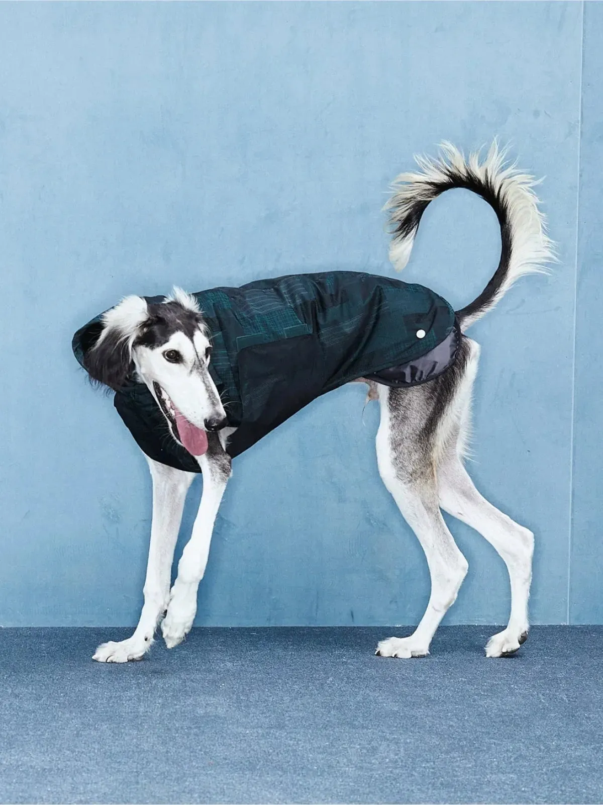 Reflective Lightweight Dog Raincoat Vest