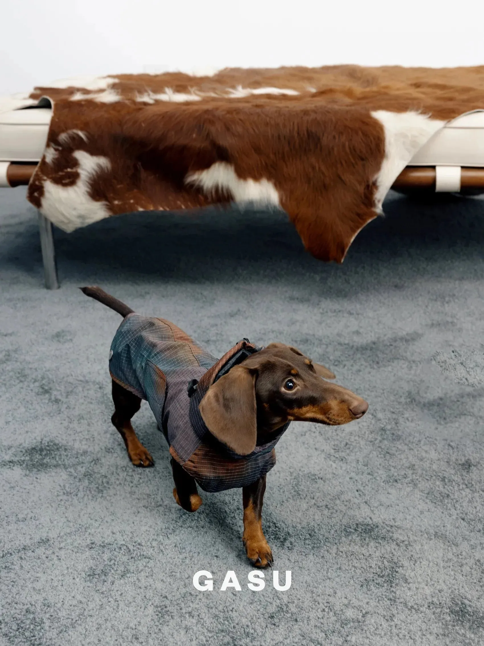 Reflective Lightweight Dog Raincoat Vest