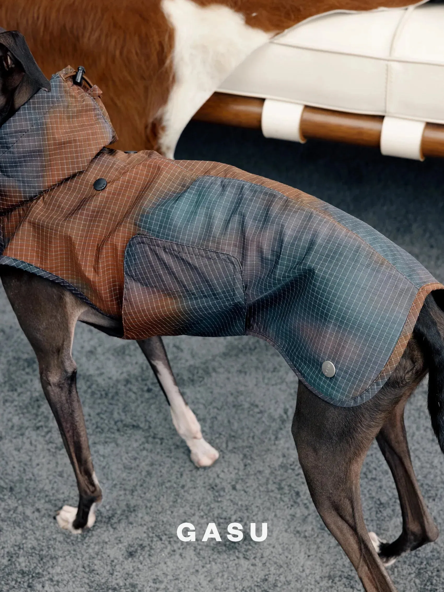 Reflective Lightweight Dog Raincoat Vest