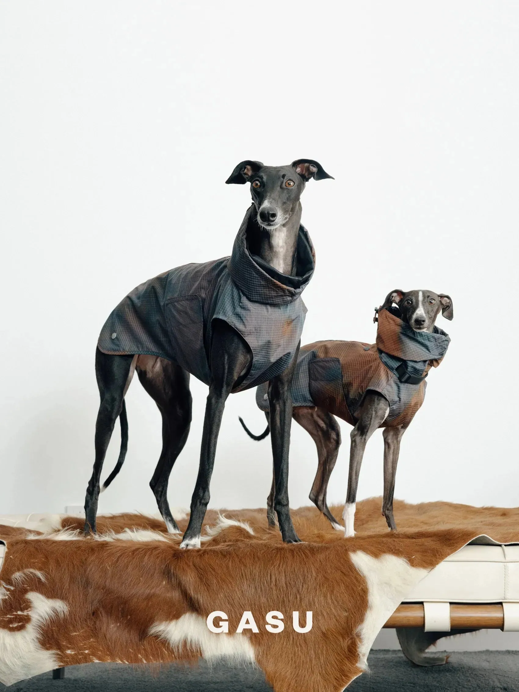 Reflective Lightweight Dog Raincoat Vest