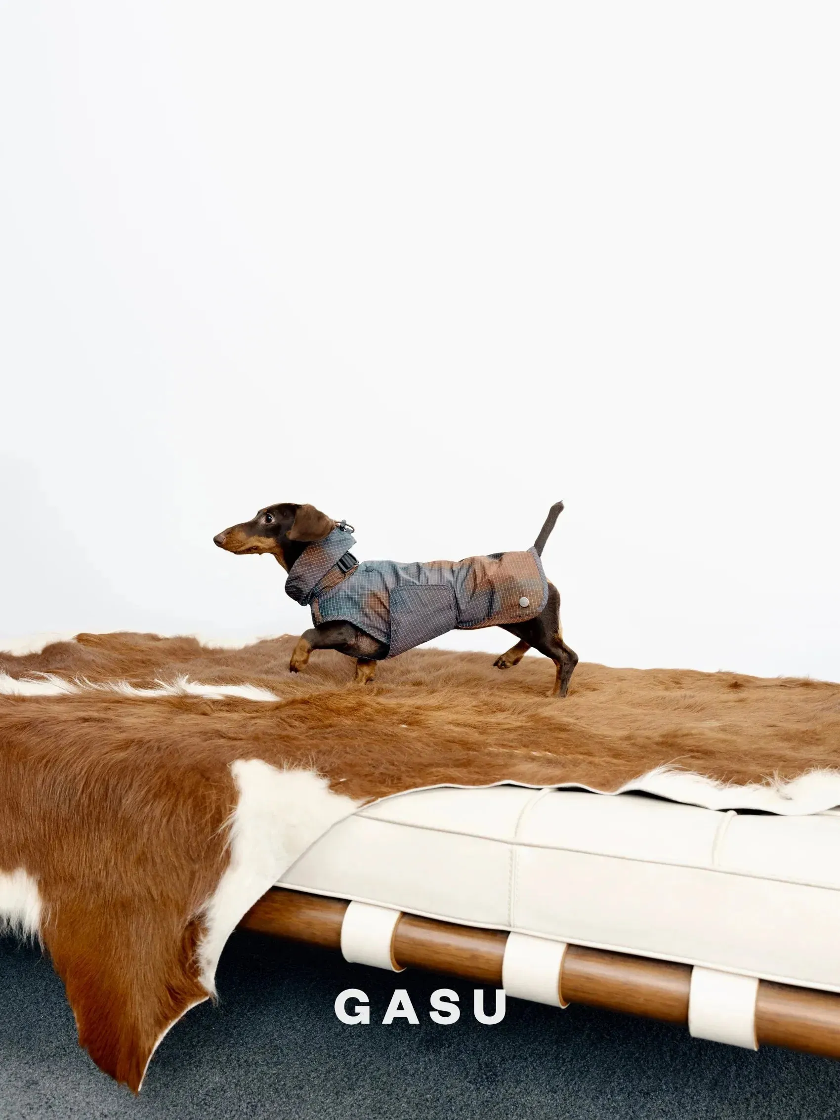 Reflective Lightweight Dog Raincoat Vest