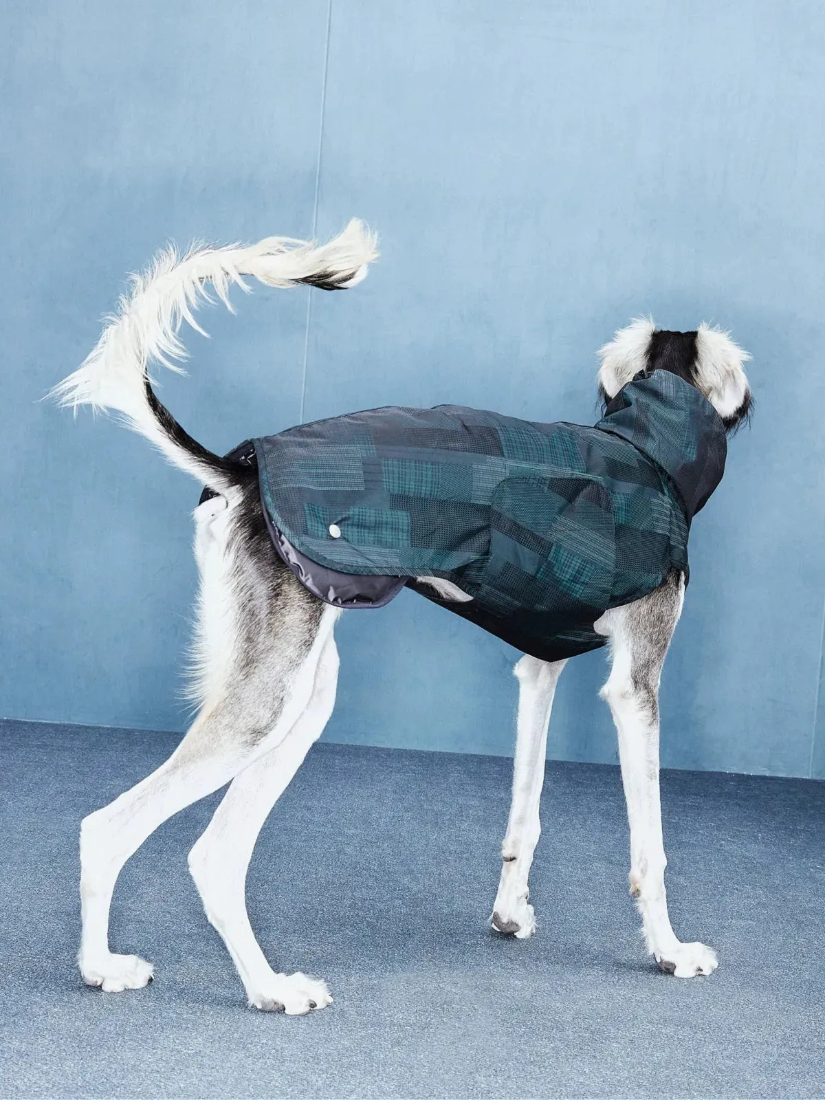 Reflective Lightweight Dog Raincoat Vest