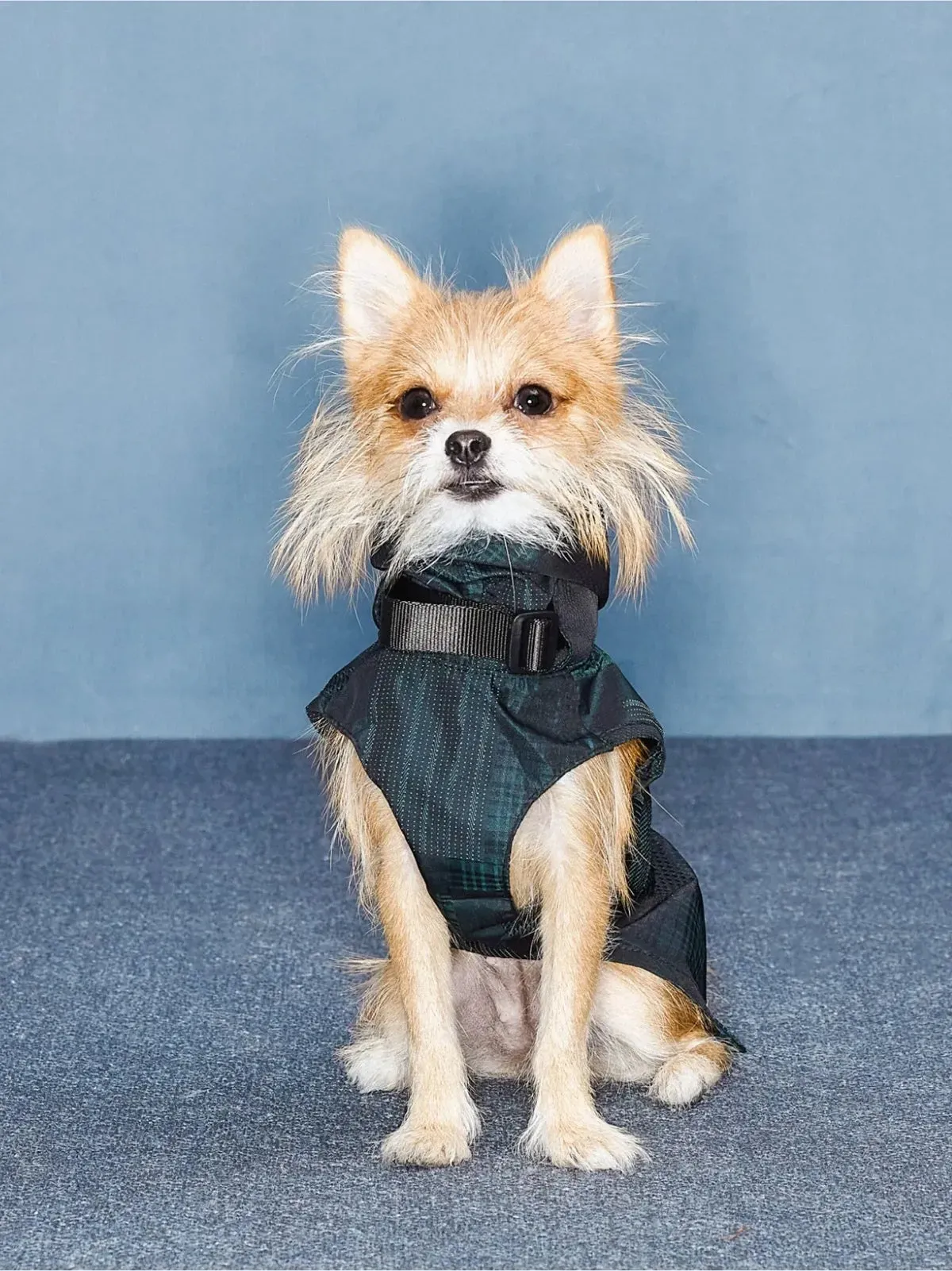 Reflective Lightweight Dog Raincoat Vest