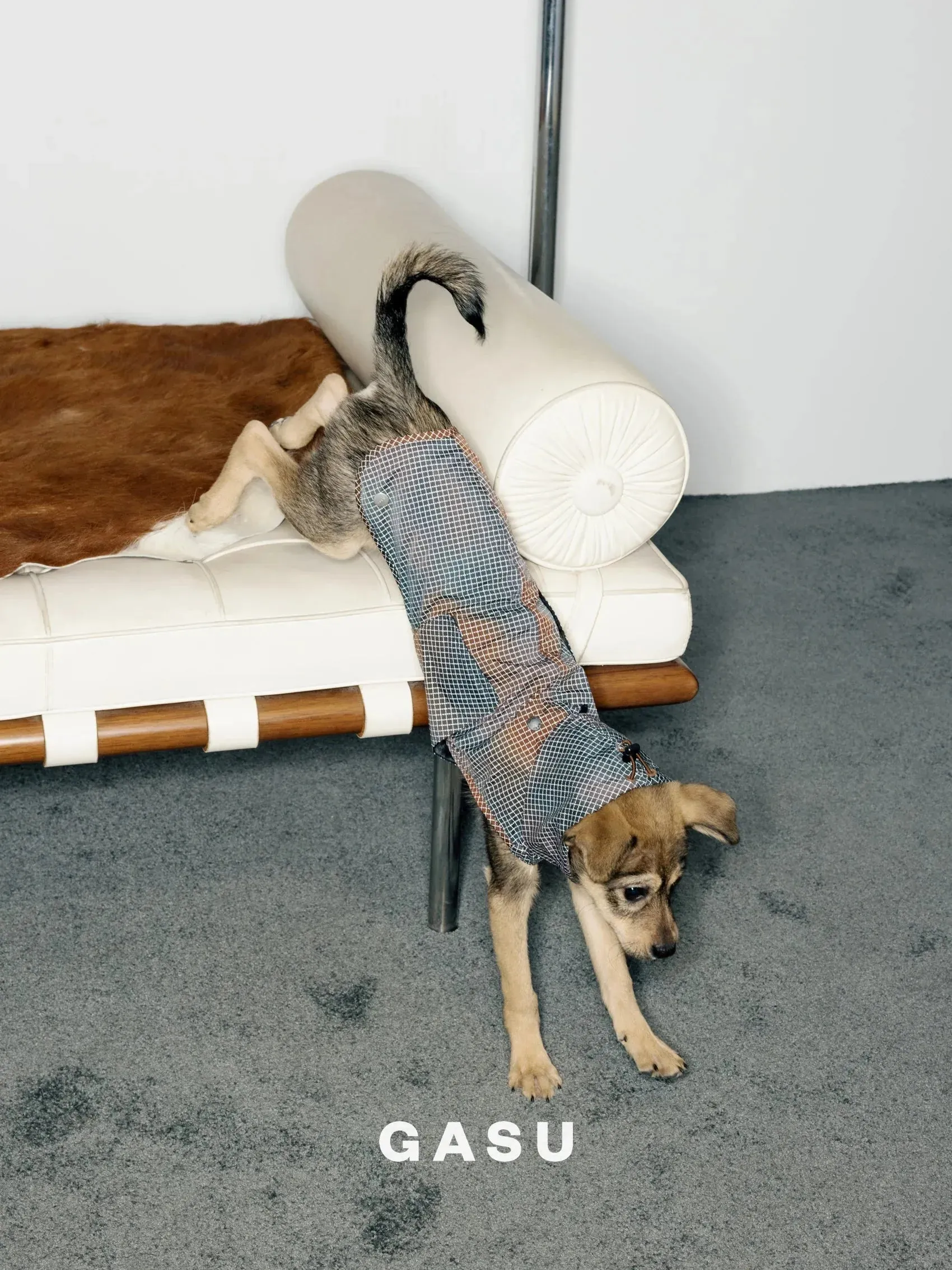 Reflective Lightweight Dog Raincoat Vest