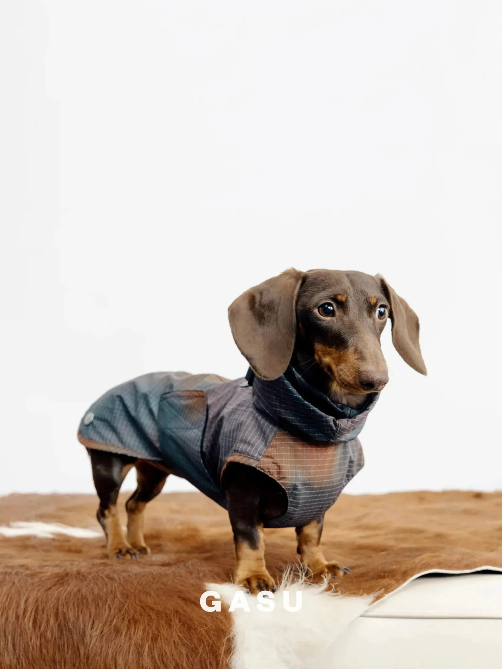 Reflective Lightweight Dog Raincoat Vest