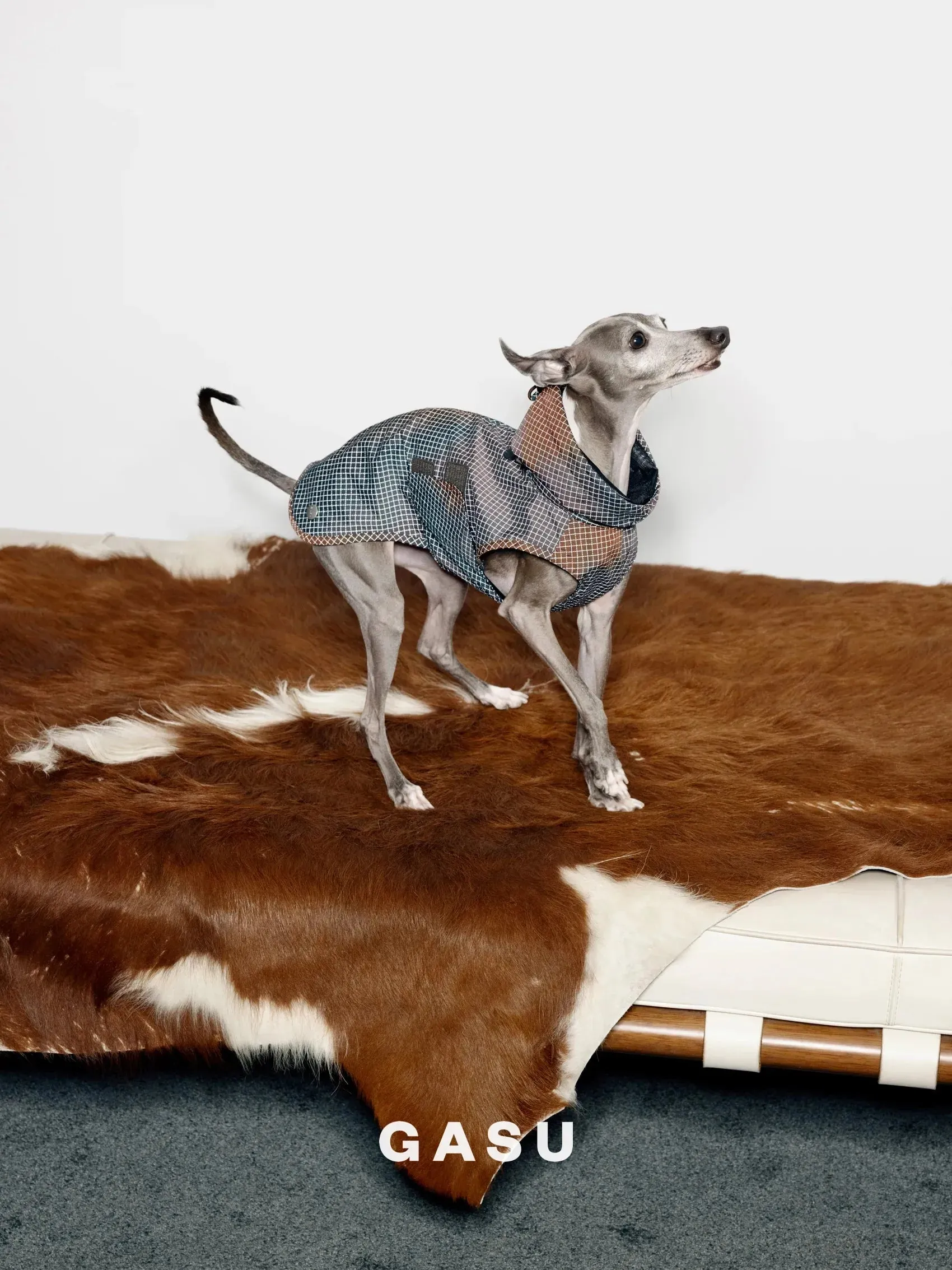 Reflective Lightweight Dog Raincoat Vest