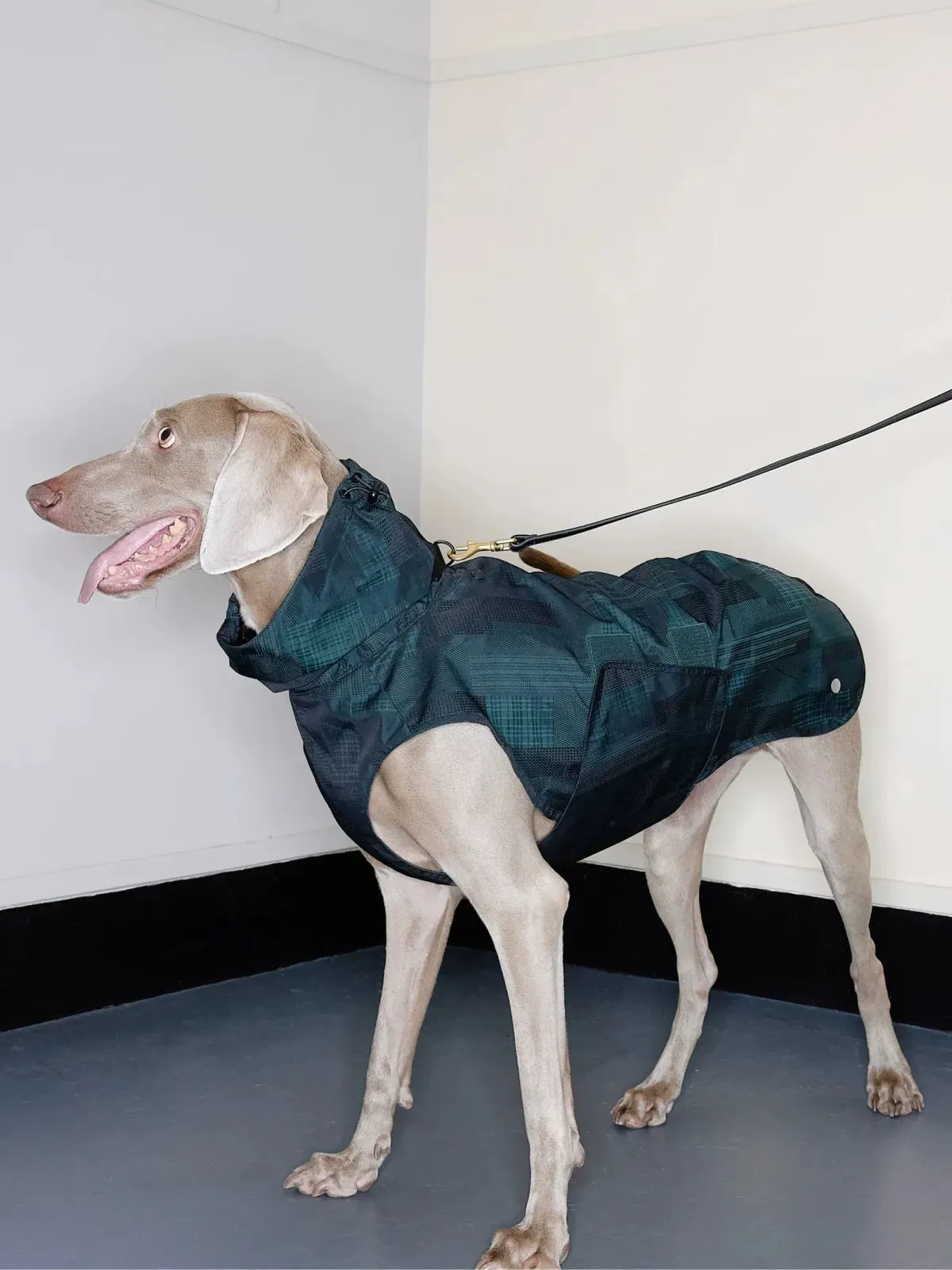 Reflective Lightweight Dog Raincoat Vest