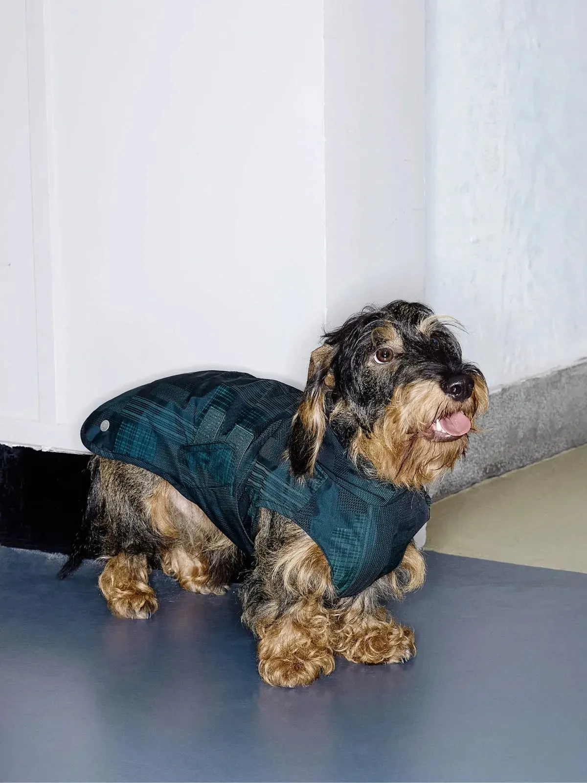 Reflective Lightweight Dog Raincoat Vest