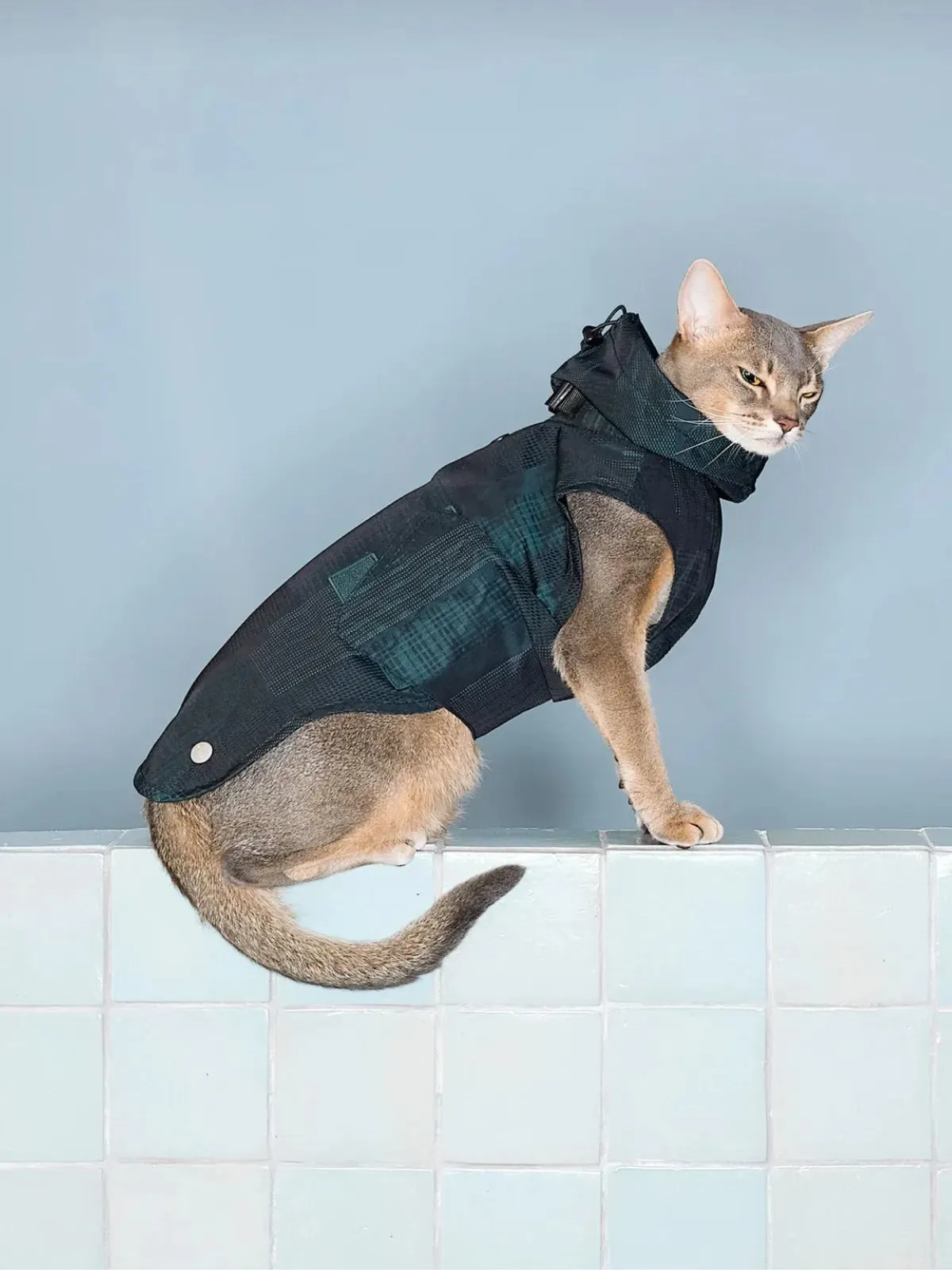 Reflective Lightweight Dog Raincoat Vest
