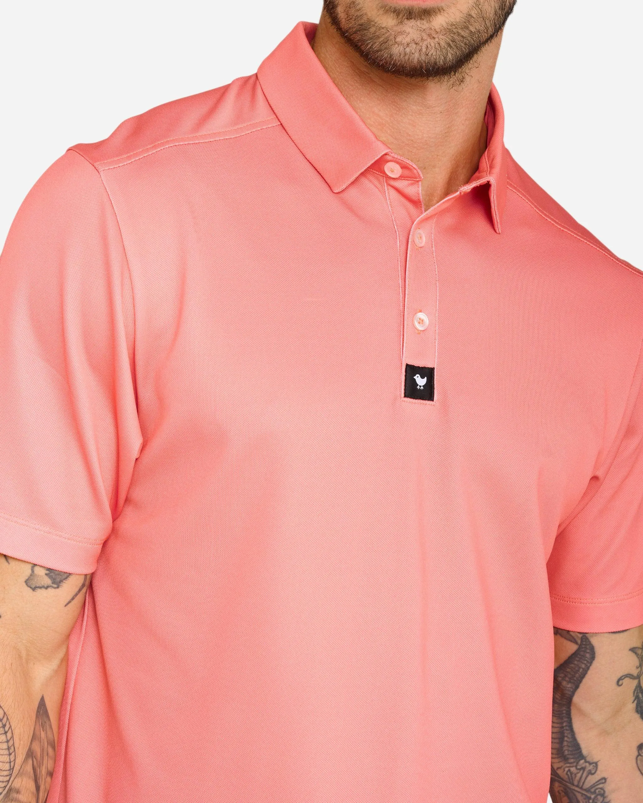 Shell Pink