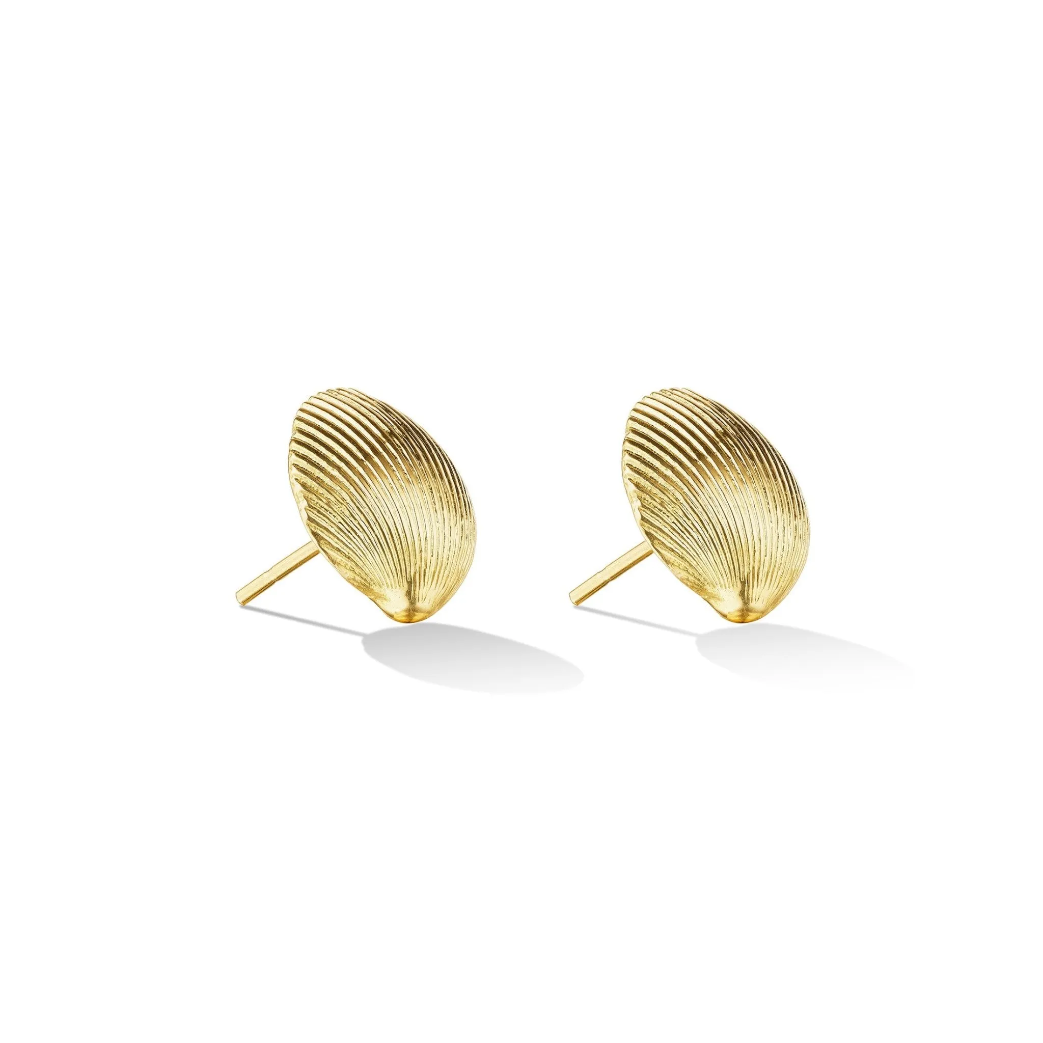 Small Yellow Gold Shell Stud Earrings