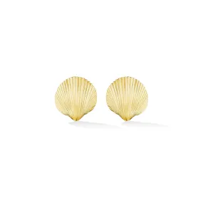 Small Yellow Gold Shell Stud Earrings