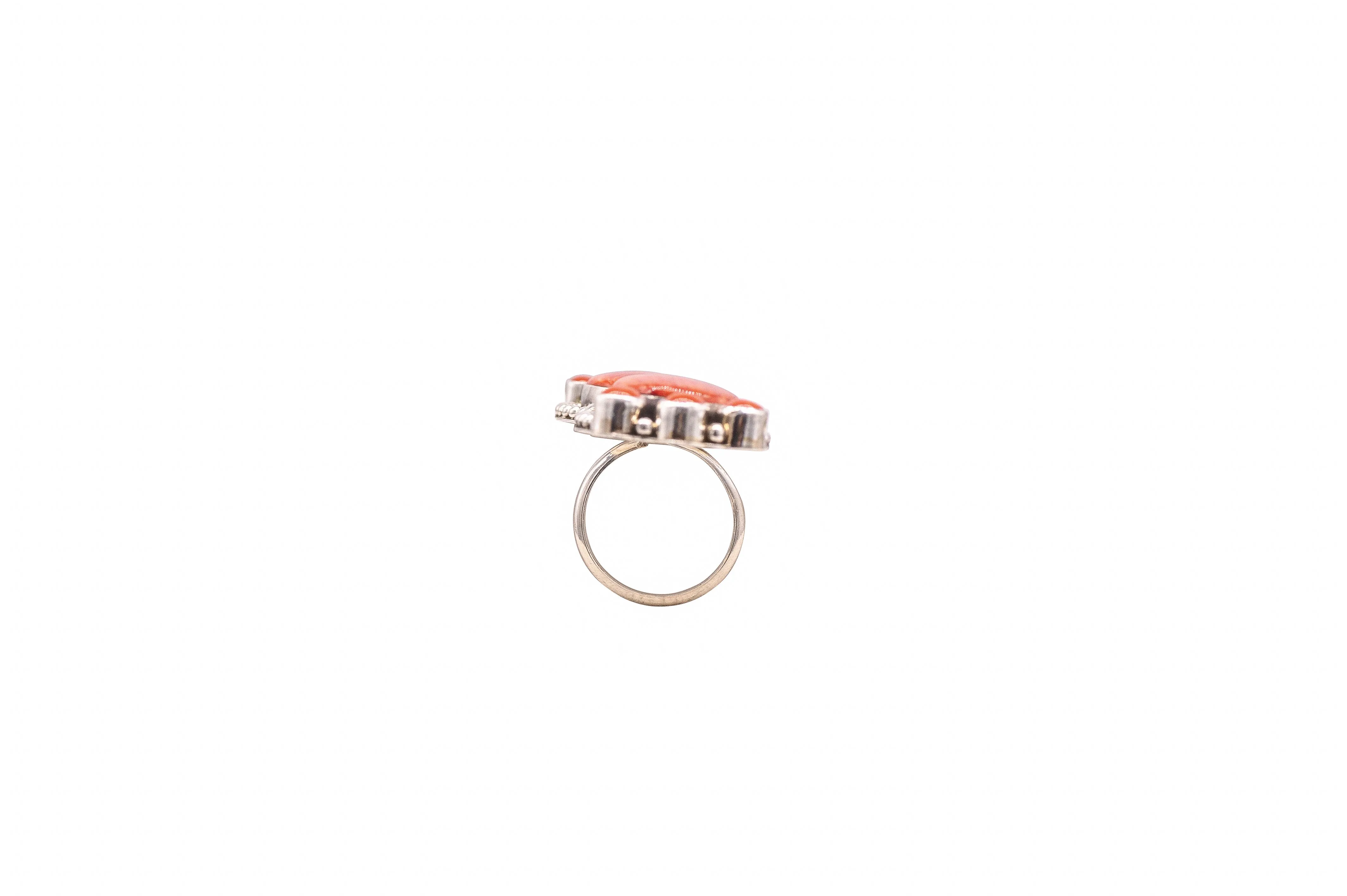 Spiny oyster & Coral Ring | S. Skeets