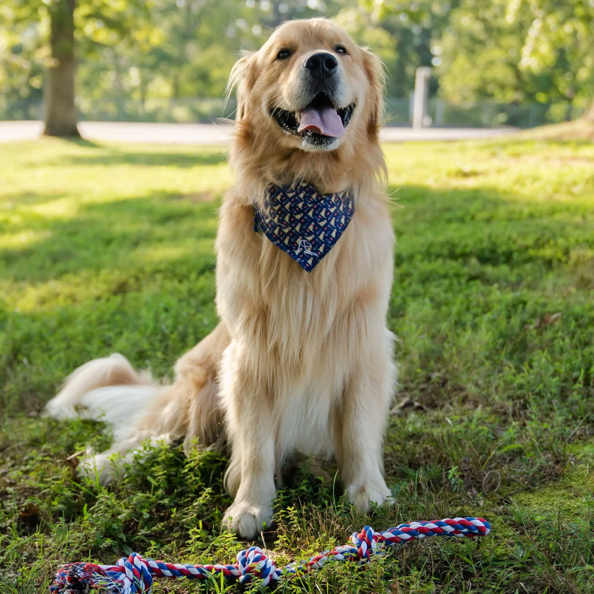 The Golden | Performance Bandana | The Golden - Admiral Navy